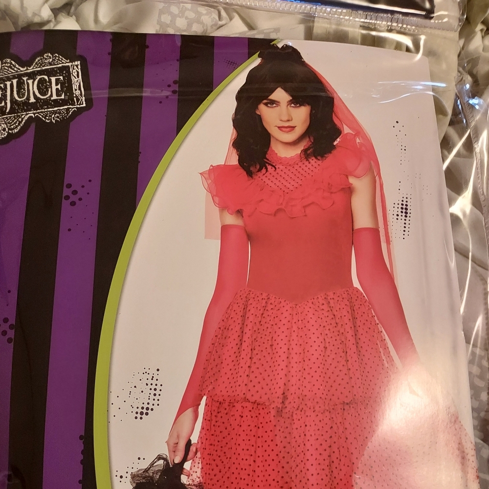 Lydia from Beetlejuice Costume
